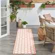 Nourison Reversible Ind/Outd 6' Runner Coral Area Rug
