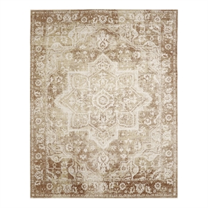 Nourison Astra Machine Washable 9' x 12' Rust  Fabric Area Rug