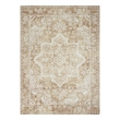 Nourison Astra Machine Washable 4' x 6' Rust  Fabric Area Rug
