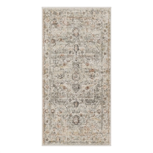 Nourison Oushak Home 2' x 4' Light Gray Fabric Area Rug