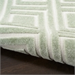 Nourison Home Casual 8' x 10' Green   Area Rug