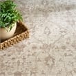 Nourison Home Outlines 9' x 12' Polyester Ivory Grey Area Rug