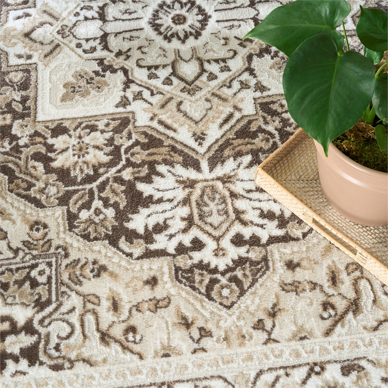 Nourison Home Dekor 4' x 6' Polyester Brown Ivory Area Rug