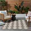 Nourison Home Positano 4' x 6' Fabric Charcoal Area Rug