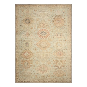 Nourison Home Vintage Washables 5' x 7' Polyester Sage Multicolor Area Rug