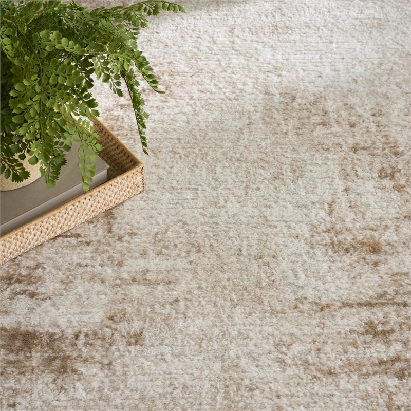 Nourison Home Dekor 4' x 6' Polyester Ivory Taupe Area Rug