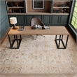 Nourison Home Vintage Washables 8' x 10' Polyester Beige Area Rug