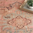 Nourison Home Vintage Washables 8' x 10' Polyester Coral Multicolor Area Rug