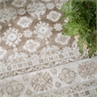 Nourison Home Dekor 4' x 6' Polyester Ivory Taupe Area Rug