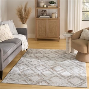 Nourison Home Dekor 4' x 6' Polyester Grey Area Rug
