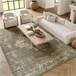 Nourison Home Grafix 7' x 10' Fabric Olive Area Rug