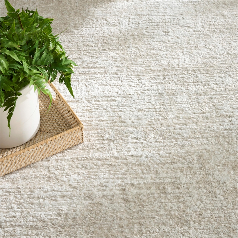 Nourison Home Dekor 4' x 6' Polyester Beige Area Rug