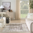 Nourison Home Dekor 5' x 7' Polyester Ivory Brown Area Rug