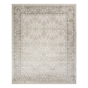 Nourison Home Dekor 8' x 10' Polyester Ivory Brown Area Rug