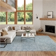 Nourison Washable Charm 9' x 12' Blue Ivory Modern Indoor Rug