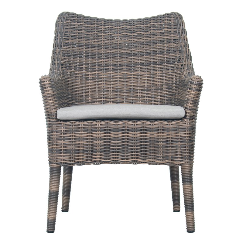 Seasonal Living HDPE Wicker and Aluminum Frame Dining Chair Set of Two