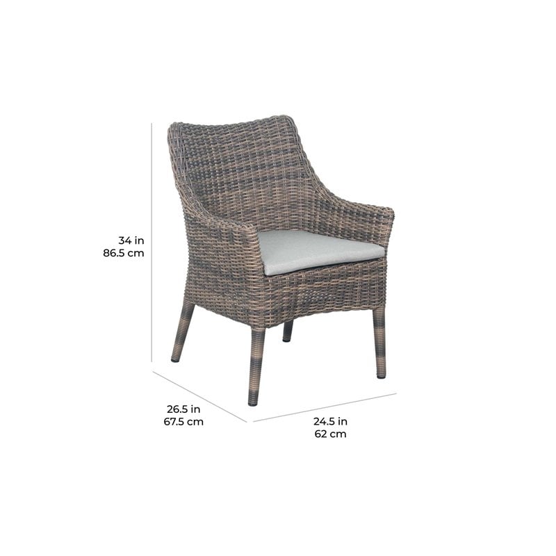 Seasonal Living HDPE Wicker and Aluminum Frame Dining Chair Set of Two
