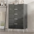 New Classic Furniture Kailani Contemporary Wood 5-Drawer Chest in Gray