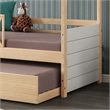 Themes and Rooms Garden Kids  Solid Wood Twin Daybed with Trundle White-Natural