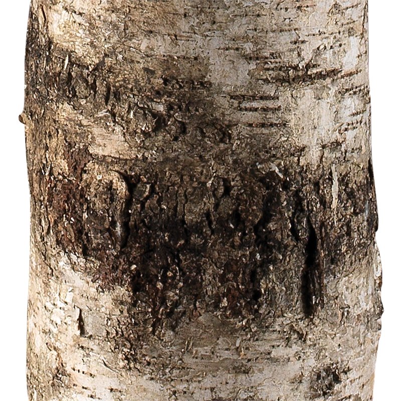 J&D Designs Co Forrester Modern Resin/Linen Floor Lamp in Natural Birch Veneer