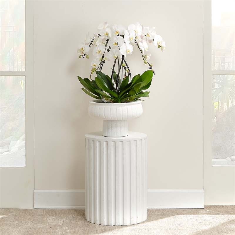 J&D Designs Co Fluted Circular Transitional Stone Side Table in Antique White