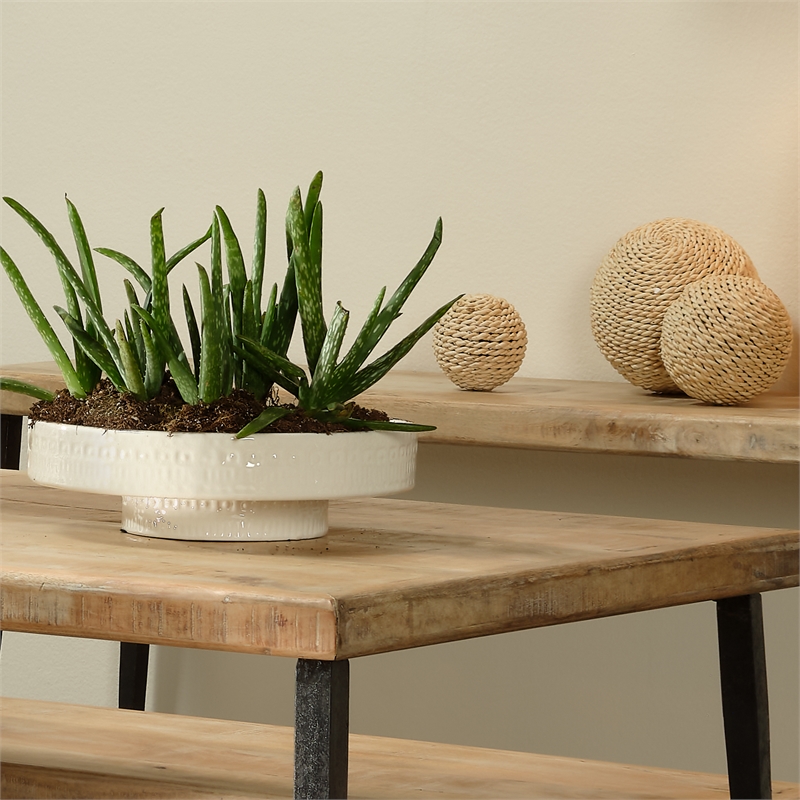 J&D Designs Co Geometric Patterns Coastal Ceramic Coco Pedestal Bowl in White