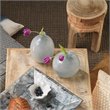 J&D Designs Co Minx Contemporary Glass Decorative Vases in Blue (Set of 2)