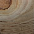 J&D Designs Co Topanga Coastal Wood Vase with Grain Pattern in Natural