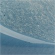 J&D Designs Co Coastal Style Glass Triton Shell in Blue Finish