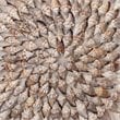 J&D Designs Co Riviera Coastal Wood Framed Wall Art in Off White/Brown