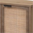 J&D Designs Reed 2-Door Coastal Wood & Iron Accent Cabinet in Brown