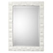 J&D Designs Co Astor Plaster Mirror in White w/ Three Dimensional Chiseled Frame