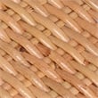 J&D Designs Co Hibiscus Rattan Arm Chair