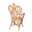 J&D Designs Co Hibiscus Rattan Arm Chair