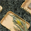 J&D Designs Co Utopia Footed Decorative Tray Natural Fabric