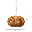 J&D Designs Co Clamshell Chandelier in Natural in Small