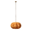 J&D Designs Co Clamshell Chandelier in Natural in Small