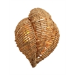 J&D Designs Co Anguilla 1-Light Wood Beaded Wall Sconce in Natural Beige