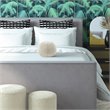 TOV Furniture Boba 14x14