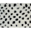 TOV Furniture Genuine 15.7x15.7