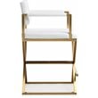 TOV Furniture Director 26