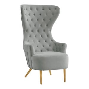 TOV Furniture Jezebel 19.7&quot Modern Velvet and Plywood Wingback Chair in Gray