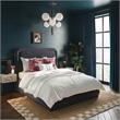 TOV Furniture Briella Dark Grey Velvet Upholstered Bed in Full