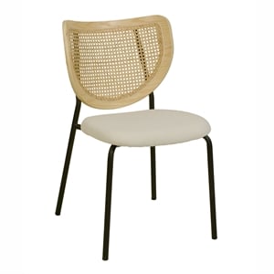 TOV Furniture Nessie 19.2&quot Rattan Dining Chair in Natural (Set of 2)