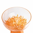 TOV Furniture Dottie Dots Glass Cocktail in Clear/Orange (Set of 4)