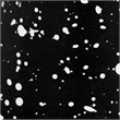 Gabby Speckled Black Cone Card Holder - Set of 4