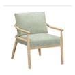 Dixie Mint Green Chenille Velvet Accent Chair