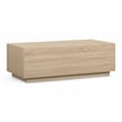 Romy in Faux Wood Coffee Table