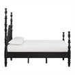 Rosalie Black Ash King Bed