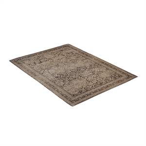 Bluma 5' x 7' Polyester Area Rug
